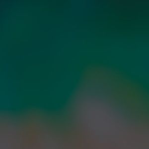 Meet your Posher, Melba